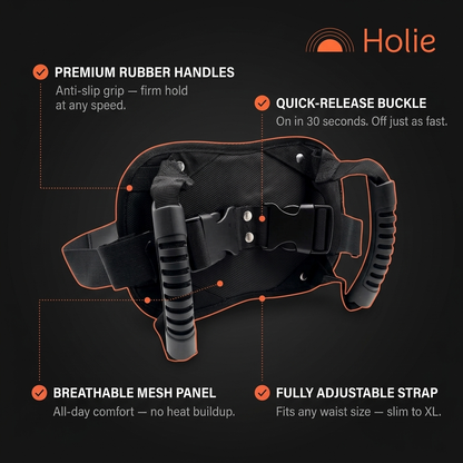 Holie Passenger Safety Grip
